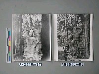 藏品(大同雲崗石窟)的圖片